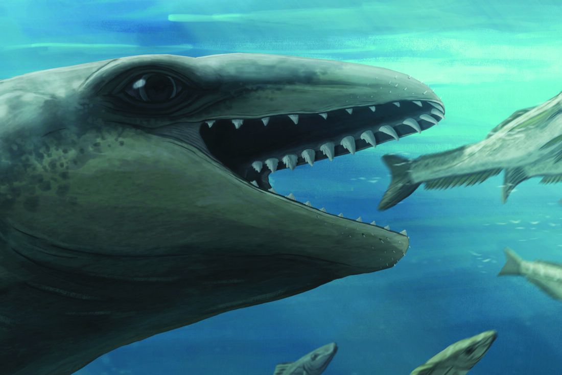 Scientists discover an ancient whale with a Pokemon face and a predator bite